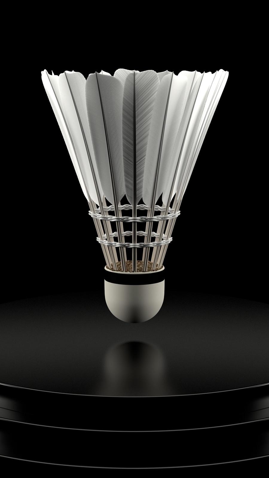 季挫折的不 季挫折的不